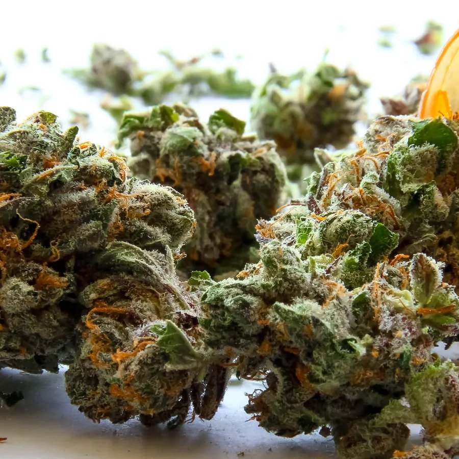 Dispensaries